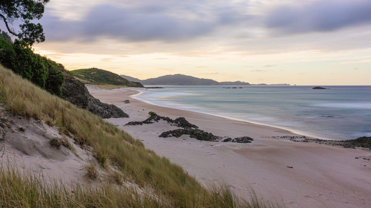 Impact of climate change on New Zealand's coastal communities. – What Makes It a Kiwi-Only Opportunity
