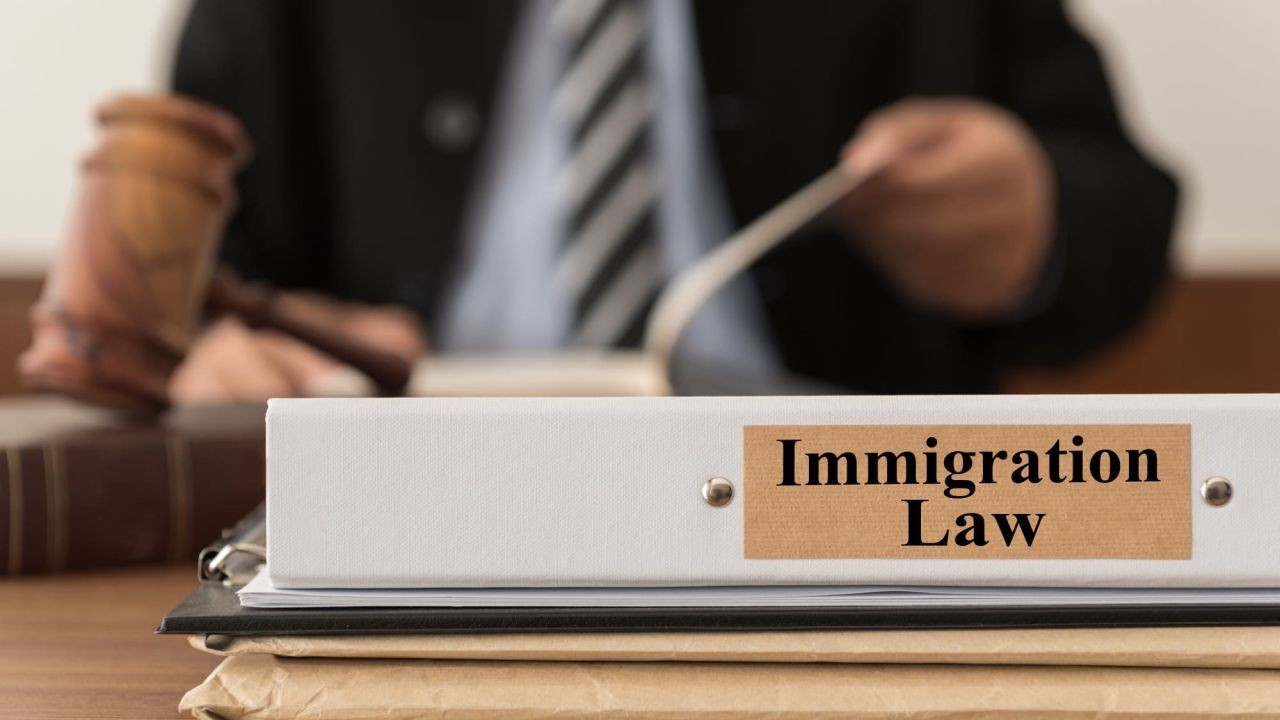 How New Zealand’s Immigration Laws Compare to Other Developed Countries – Why Ignoring It Could Be a Costly Mistake