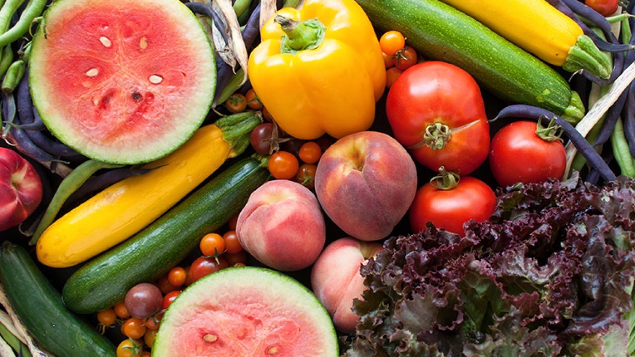Why Seasonal Food and Beverage Promotions Gain Traction on New Zealand Video Platform