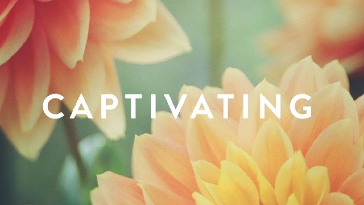 How Sustainability Stories Gain Traction With NZ Audiences Through Video