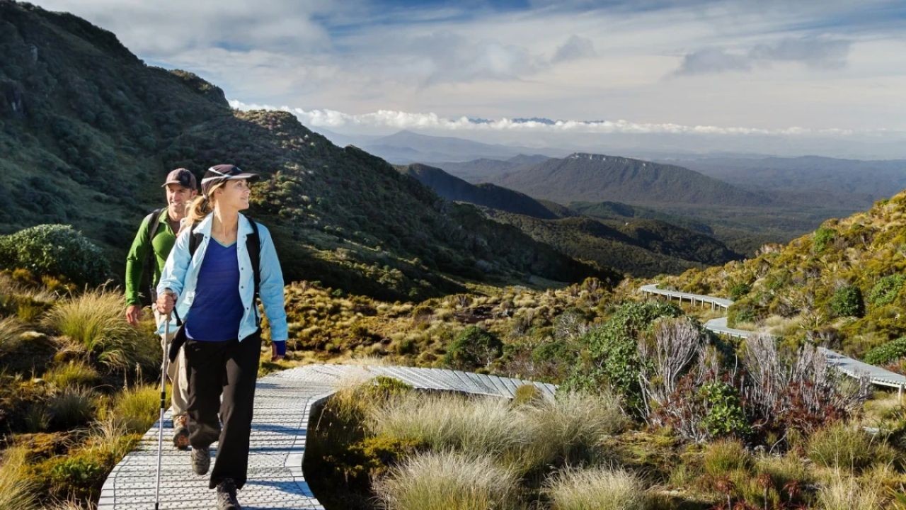 How Regional NZ Travel Videos Help Tourists Plan Their Trips