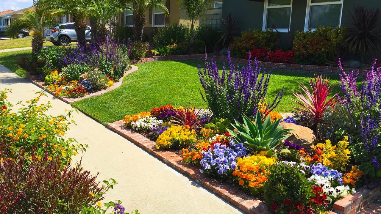 Landscaping Ideas for Small NZ Backyards