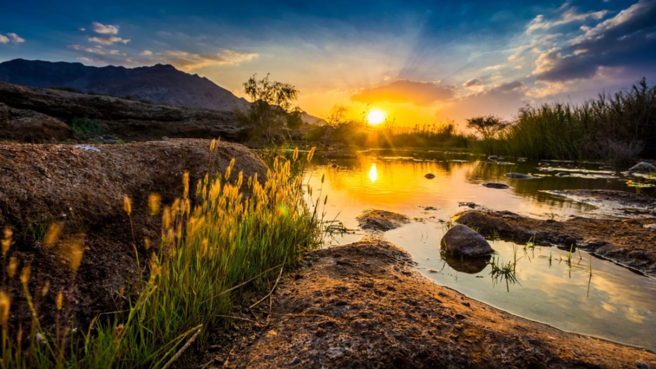 How Wildlife and Nature Tourism Videos Highlight Aotearoa’s Biodiversity