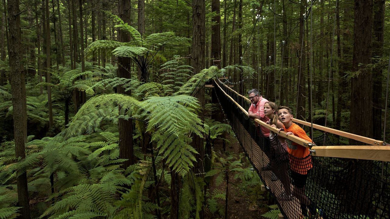 Why NZ Tourism Operators Are Using Video Marketing to Boost Bookings