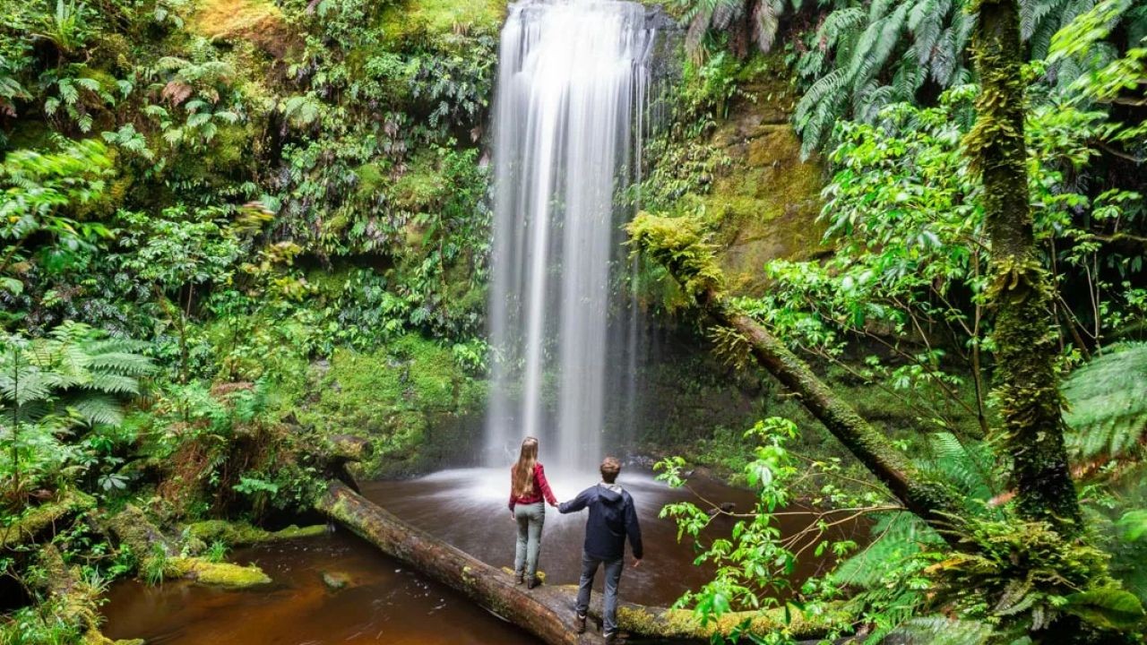 Why North vs South Island Tourism Videos Help Travellers Choose