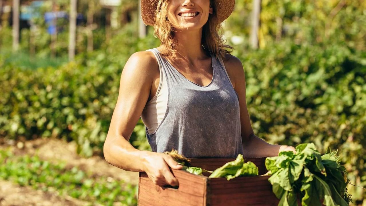5 Tips for Embracing New Zealand’s Organic Farming Movement – The Ultimate Kiwi Advantage