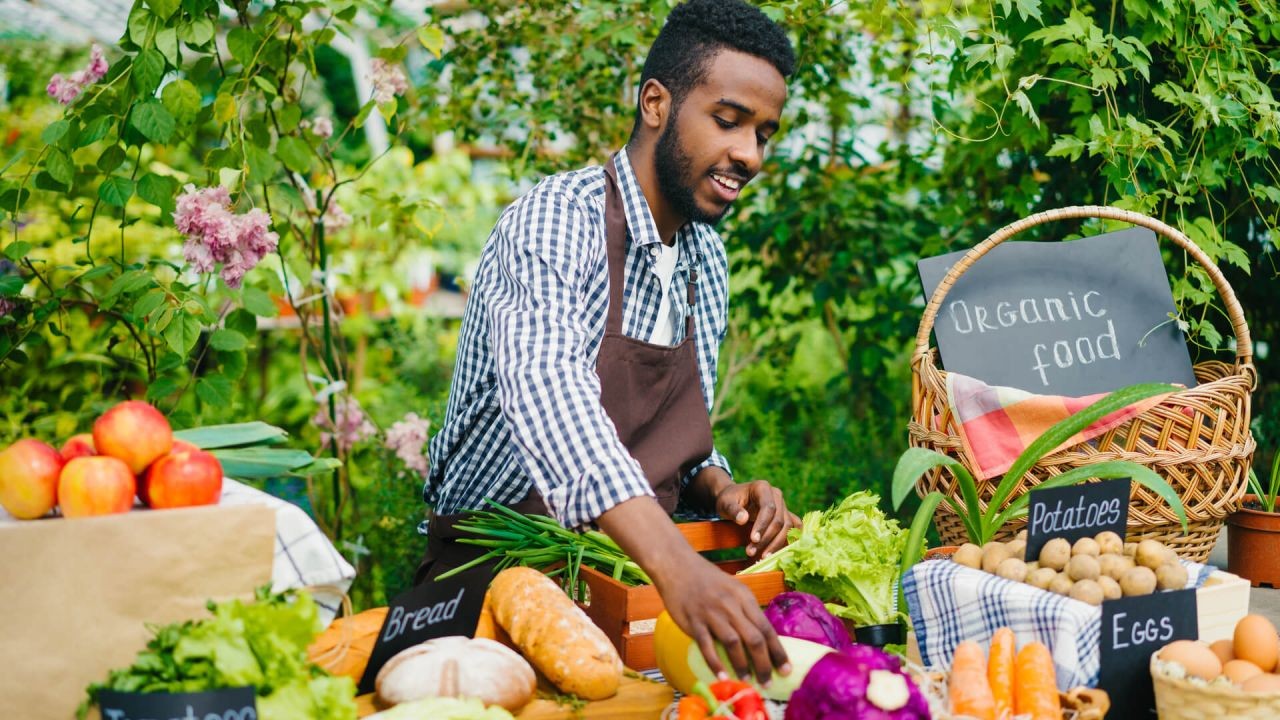 How Farmers Market Videos Drive Local Food Tourism in NZ