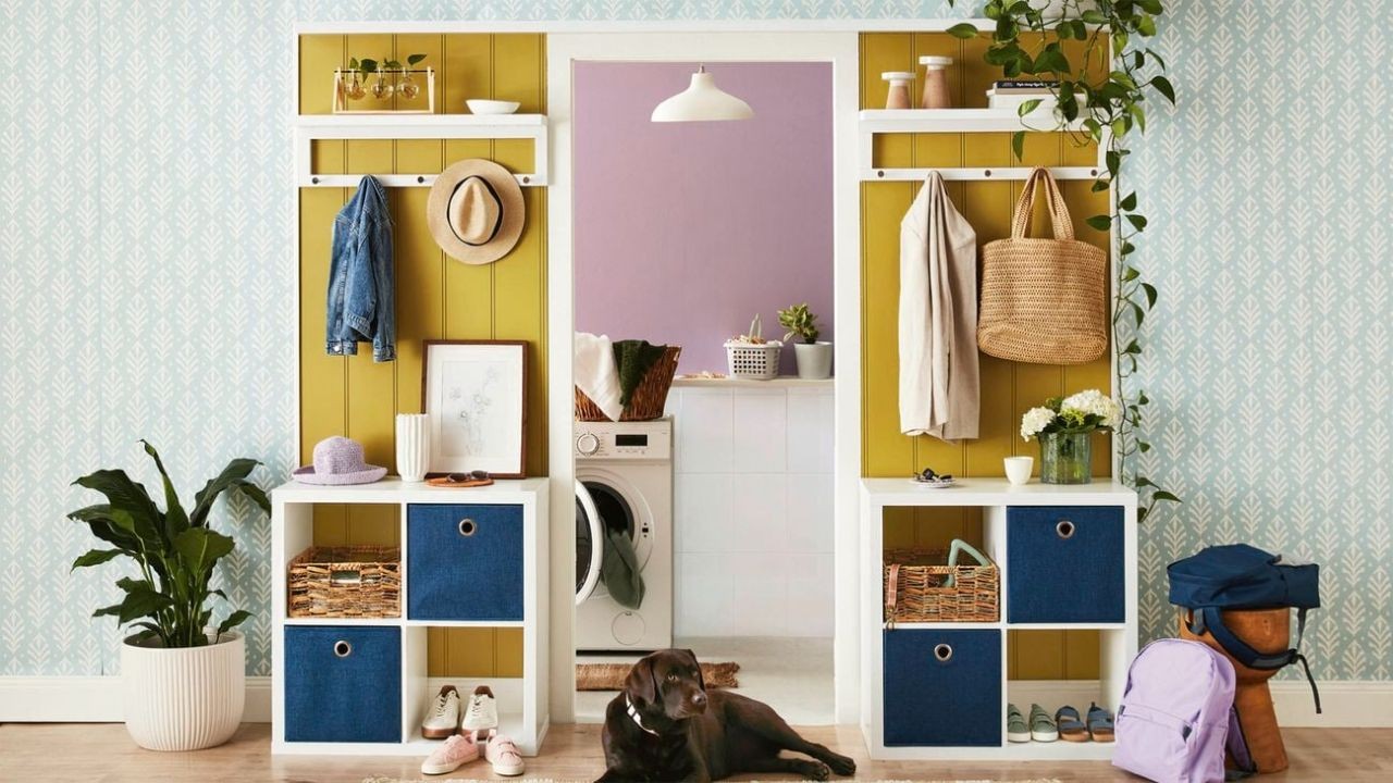 Top DIY Storage Solutions for Small Kiwi Homes