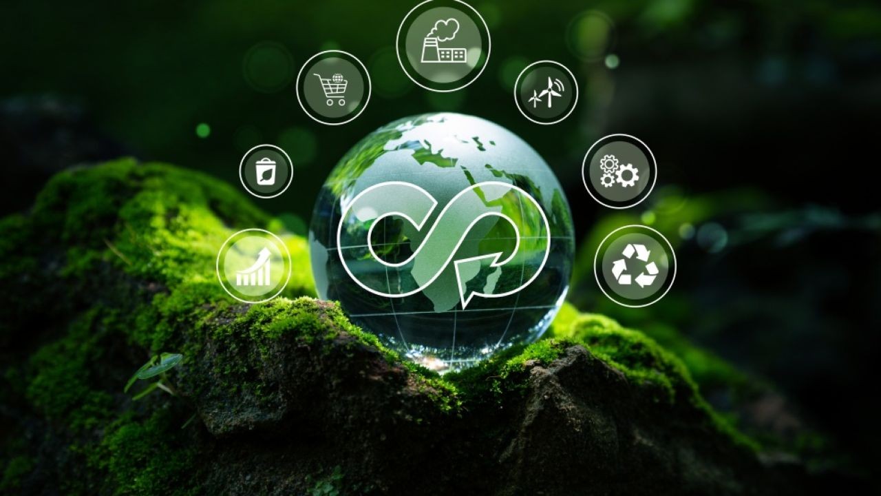 How the Circular Economy Is Reducing Global Waste – The Growth Engine New Zealand Needs Now