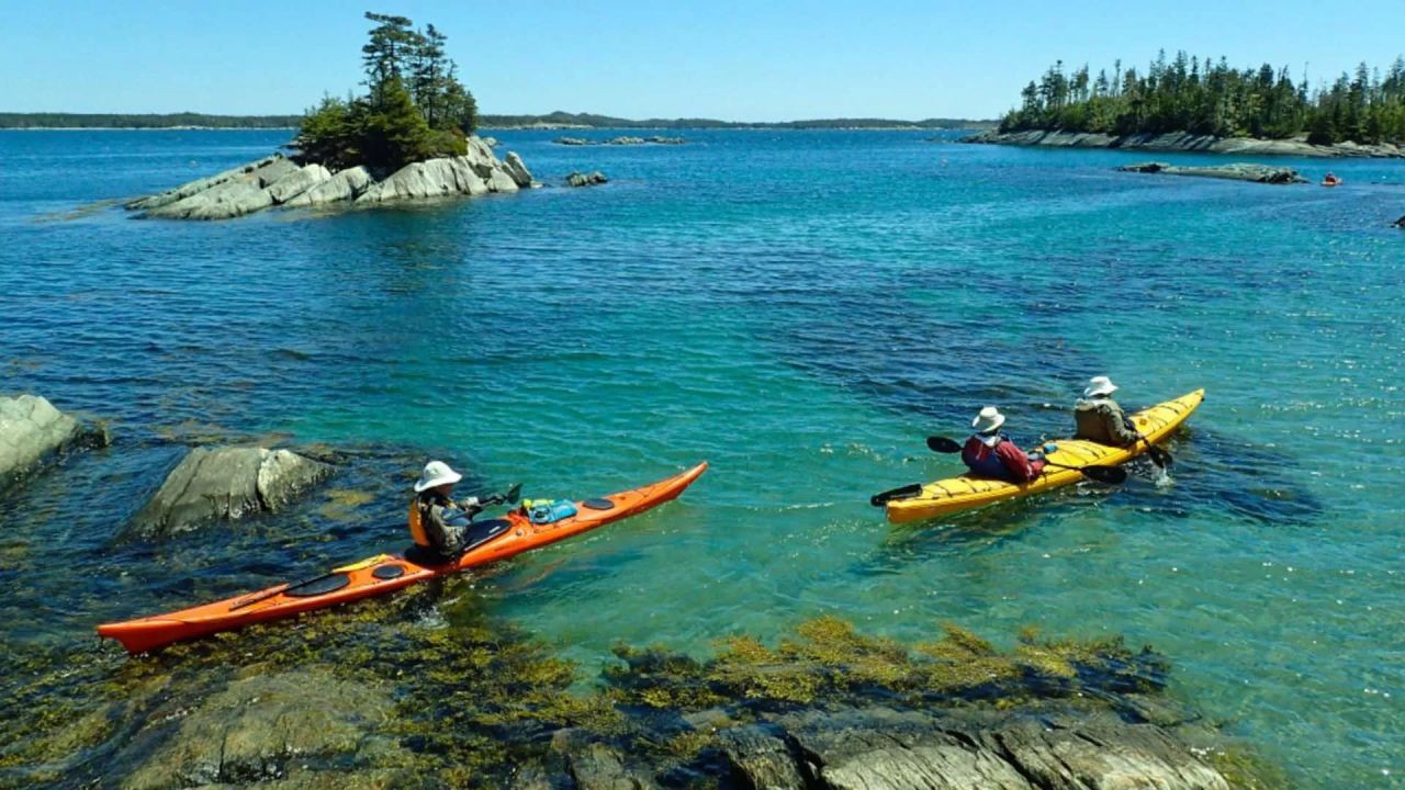 From Coastal Adventures to City Cafés: Capturing NZ Experiences on Video
