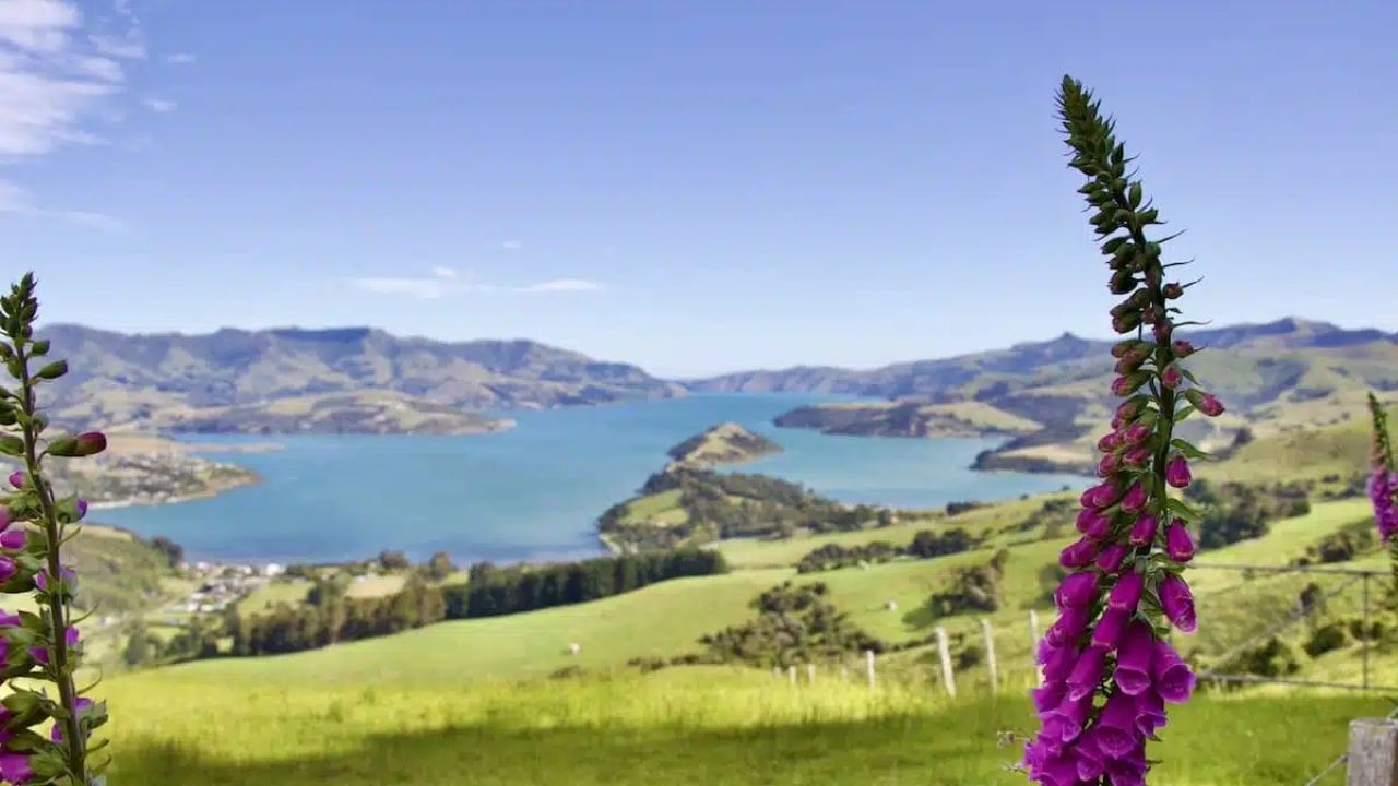 Why Aotearoa Destination Videos Drive Bookings From Global Travellers