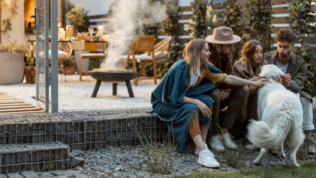 How Holiday Rental Video Tours Influence NZ Buyers Seeking Airbnb Potential