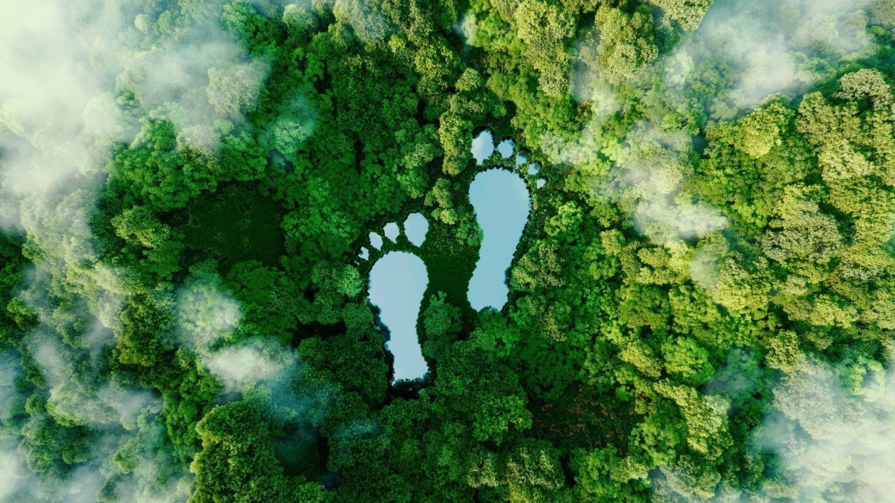 How Nature Documentary-Style Videos Boost Sustainable Tourism in Aotearoa