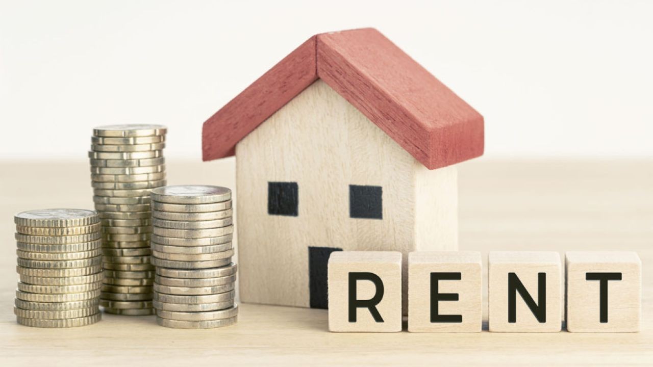 How Regional Rental Market Videos Help Tenants Negotiate Rent in NZ