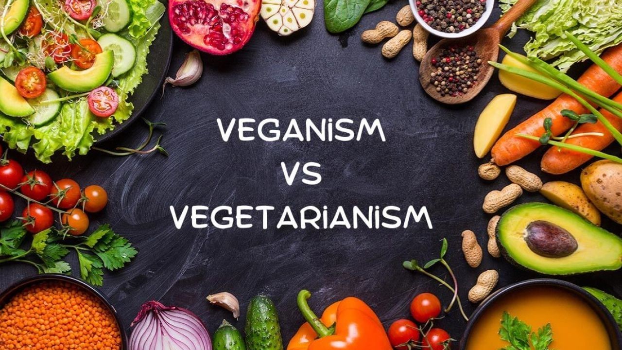 Vegan vs. Vegetarian Diets – Which One is Better for Australians? – The Aussie Strategy You Need to Know