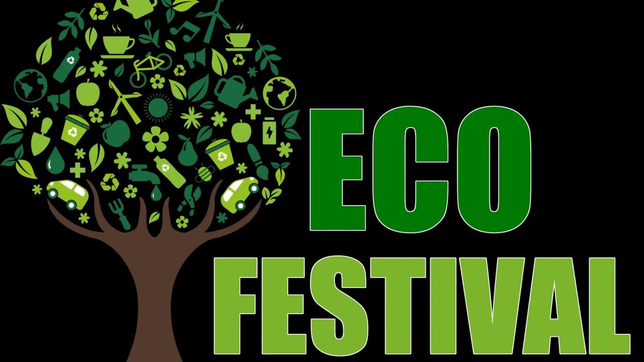 How Eco Festival Videos Promote Green Travel Events in Aotearoa
