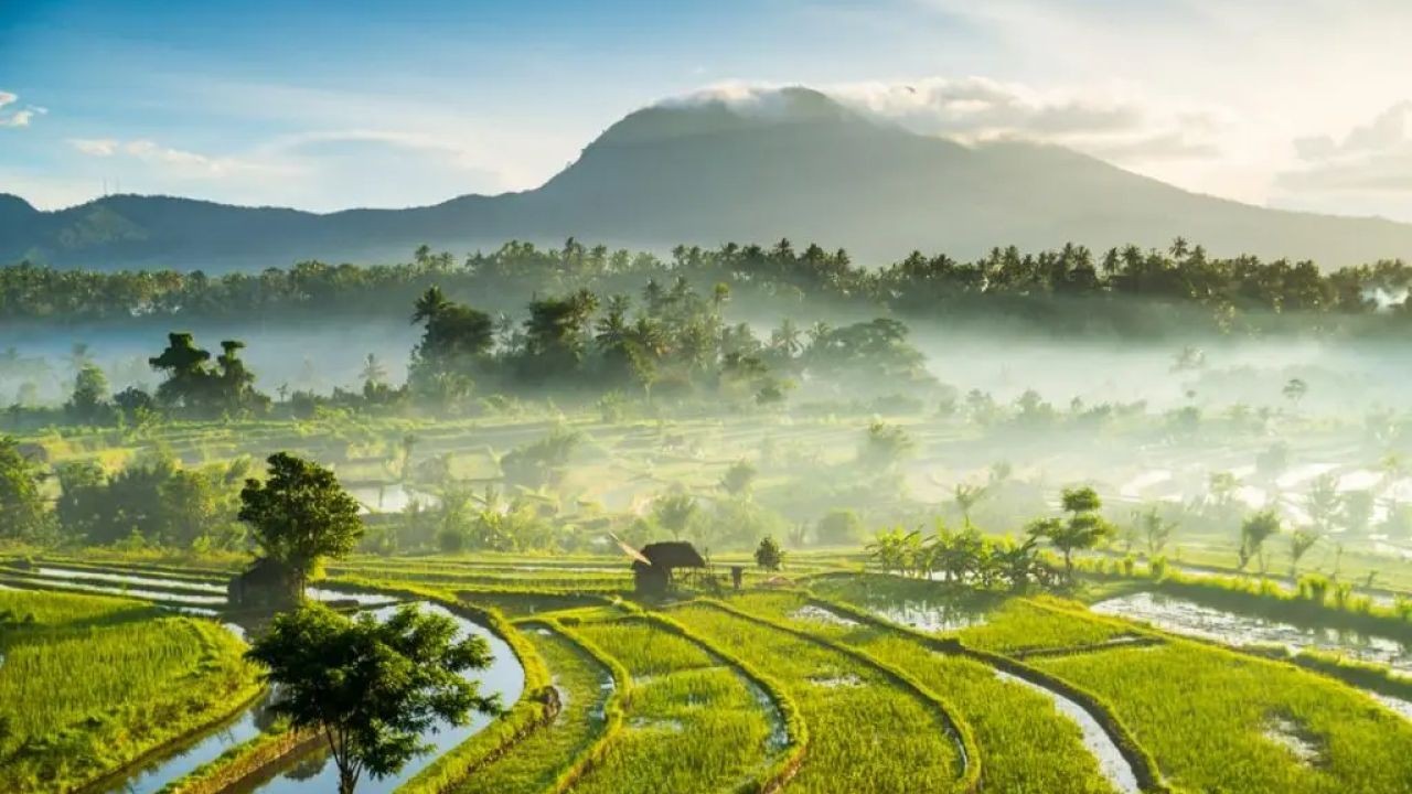 Why Sustainable Tourism Operators in NZ Use Eco-Video Campaigns