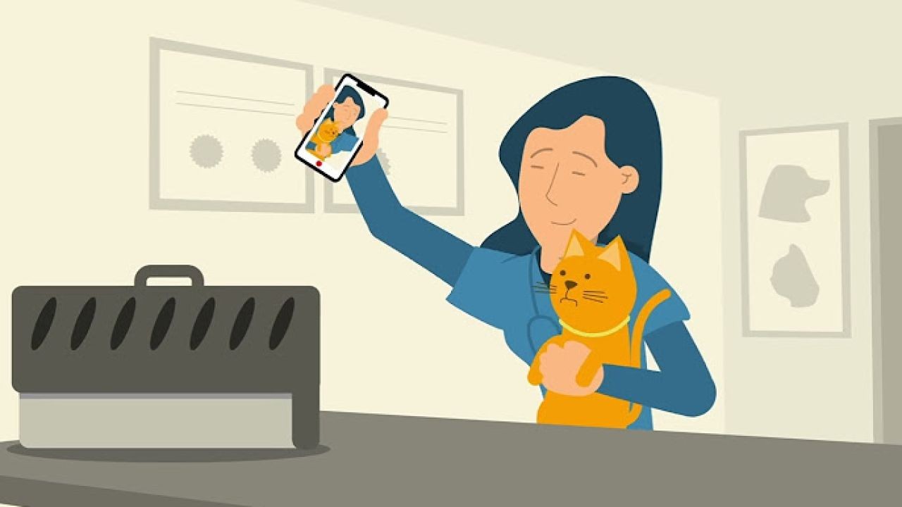 Why Client Education Videos Give Kiwi Agents an Edge