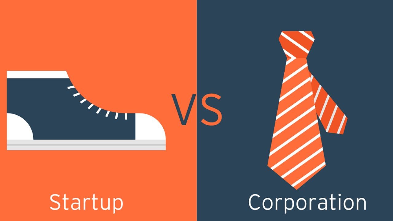 From Startups to Corporates: Why Every NZ Business Needs a Video-First Strategy