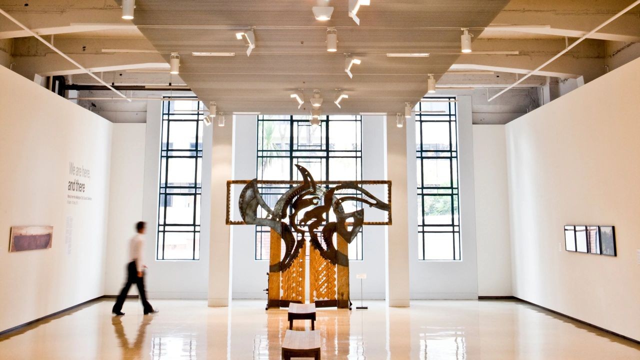 From Wellington Galleries to Dunedin Studios: Showcasing Art on New Zealand Video Platform