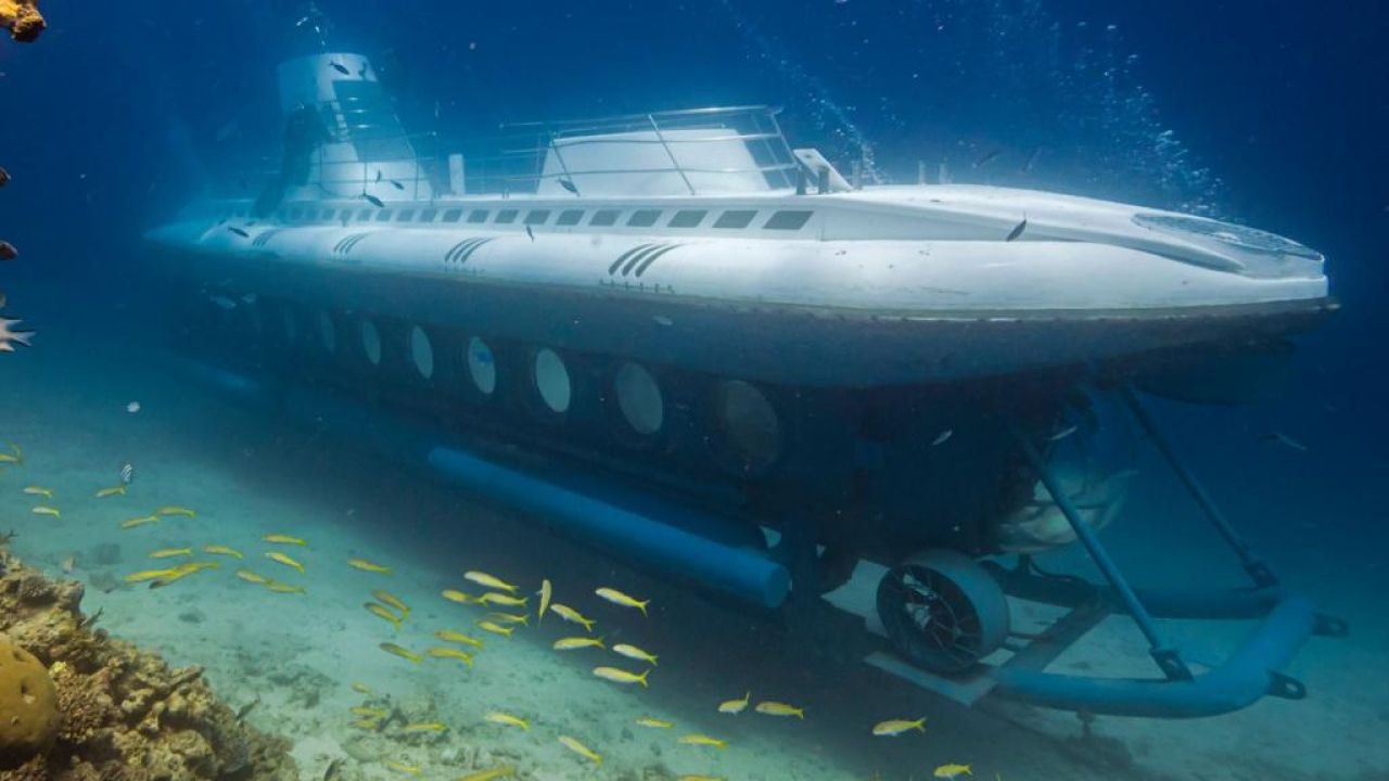 Six dead after tourist submarine sinks in Red Sea – The Untold Truth Every Aussie Must Hear