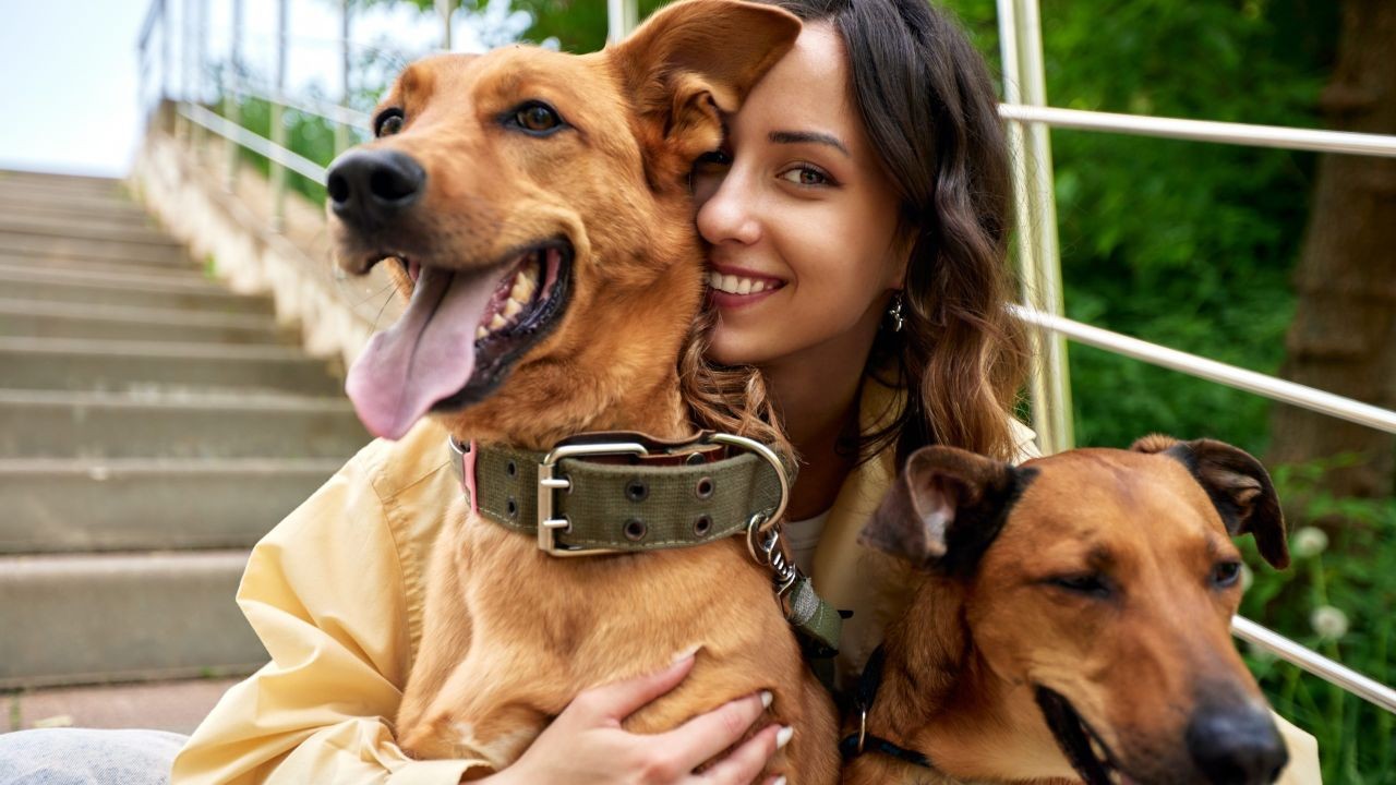Why Millennials in Australia Are Spending More on Pets Than Ever Before – What Every Australian Should Know