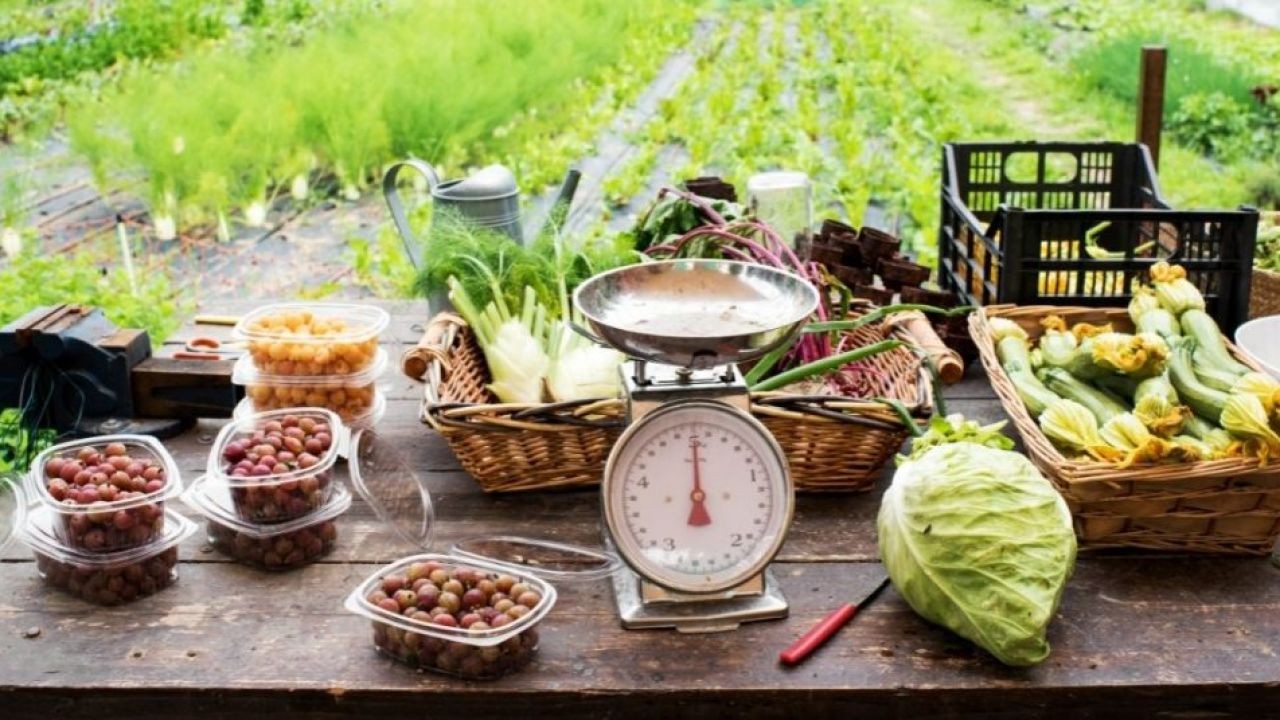 From Farm-to-Table to Five-Star: Why the Future of NZ Hospitality Is Video-First