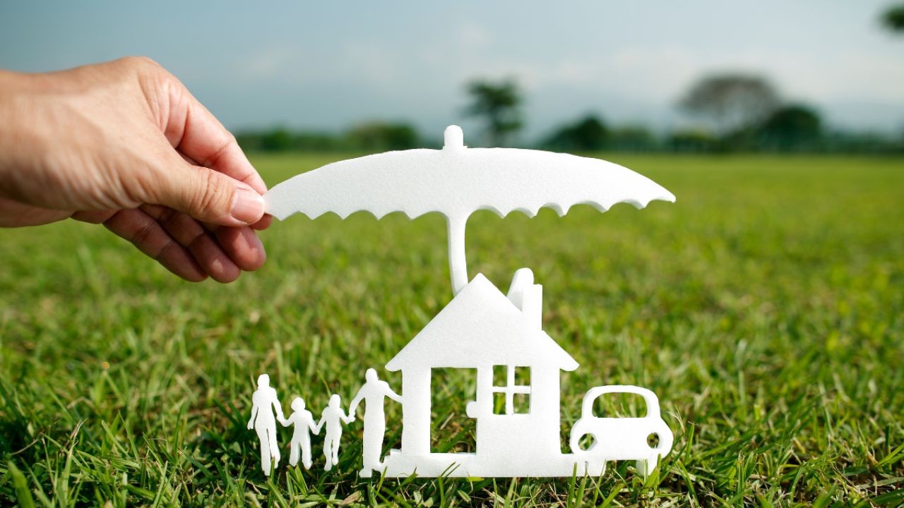Why Climate-Resilient Property Videos Appeal to Future-Focused Buyers in NZ