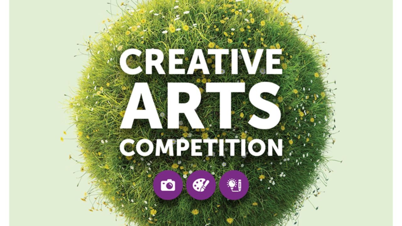 New Zealand Video Platform Bridges Urban and Regional Creativity Across the Country