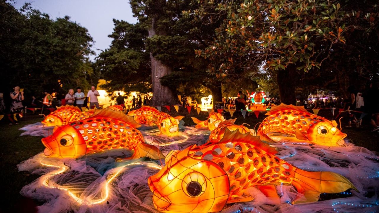 Why Light Festival Videos Inspire Tourism to Wellington and Auckland