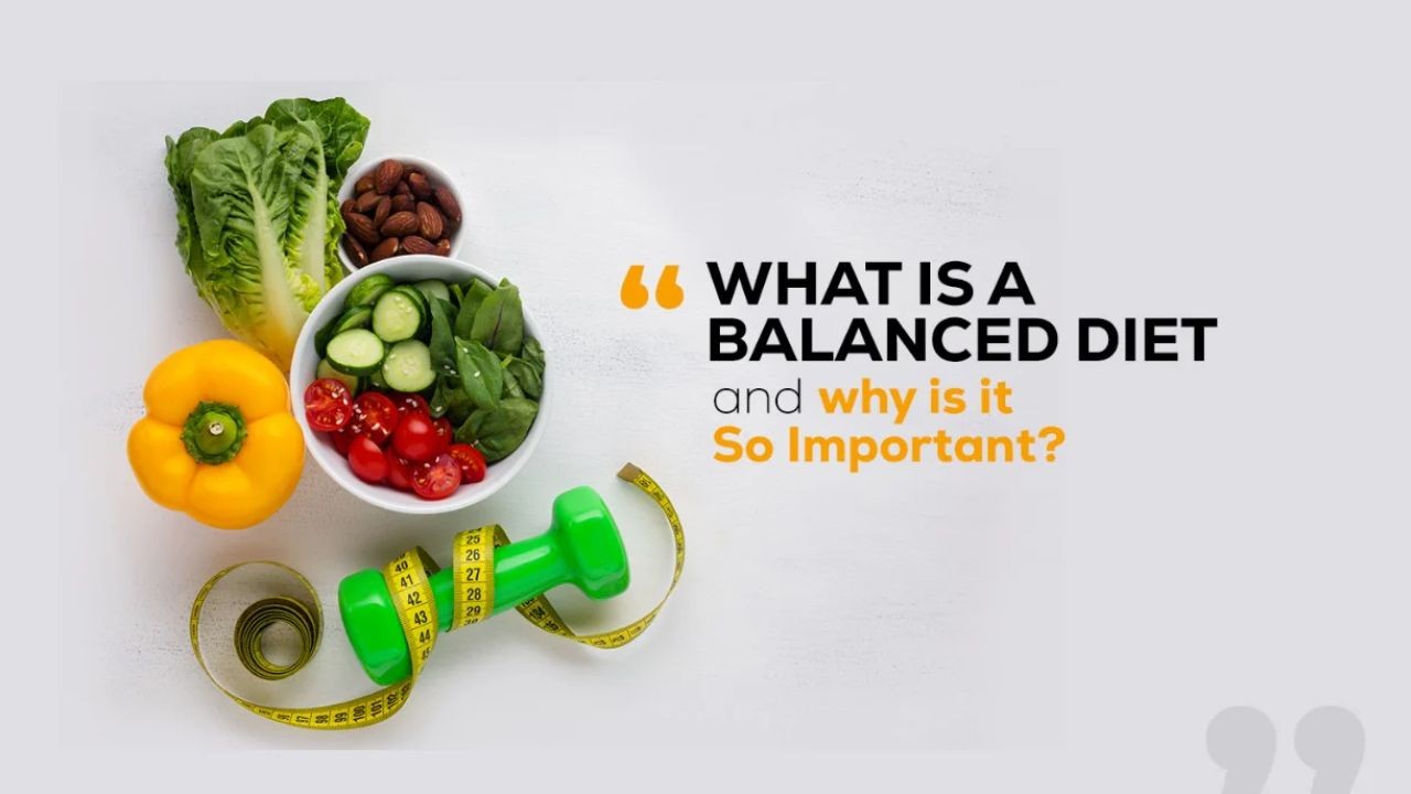 Nutrition and Diet Video Guides Tailored for Kiwi Lifestyles