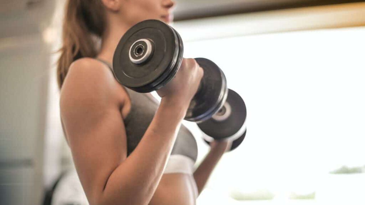Weight Training Video Guides Popular in NZ Fitness Communities