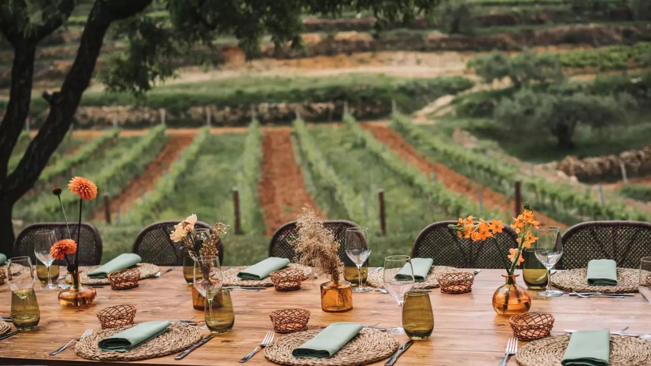 Why Luxury Vineyard Tour Videos Drive High-Value Tourism in Aotearoa