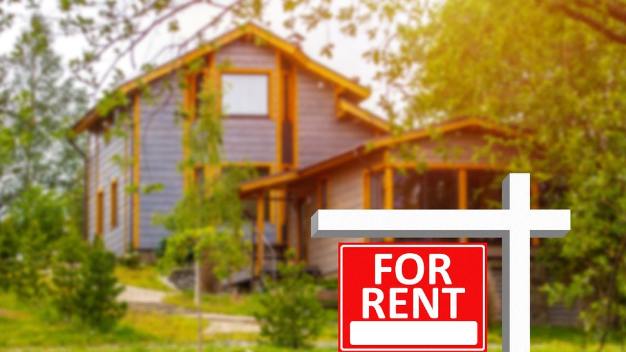 Why Rental Market Video Insights Help NZ Landlords Stay Ahead