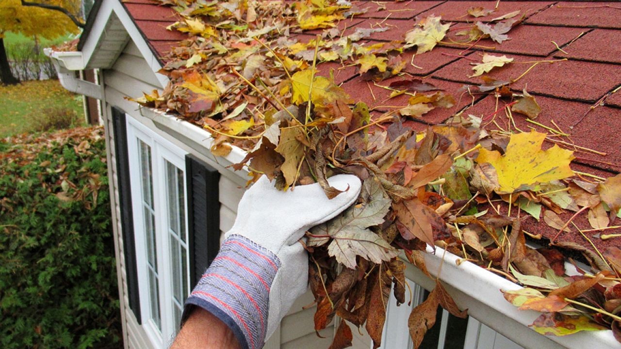 Seasonal Home Maintenance Checklist for NZ Homeowners