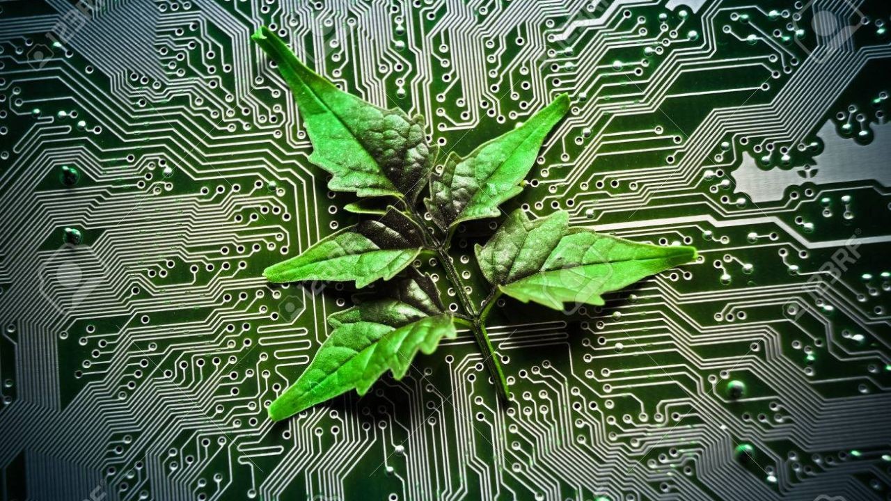 How New Zealand Became a Testbed for Global Green Technologies – Where New Zealand Is Heading Next