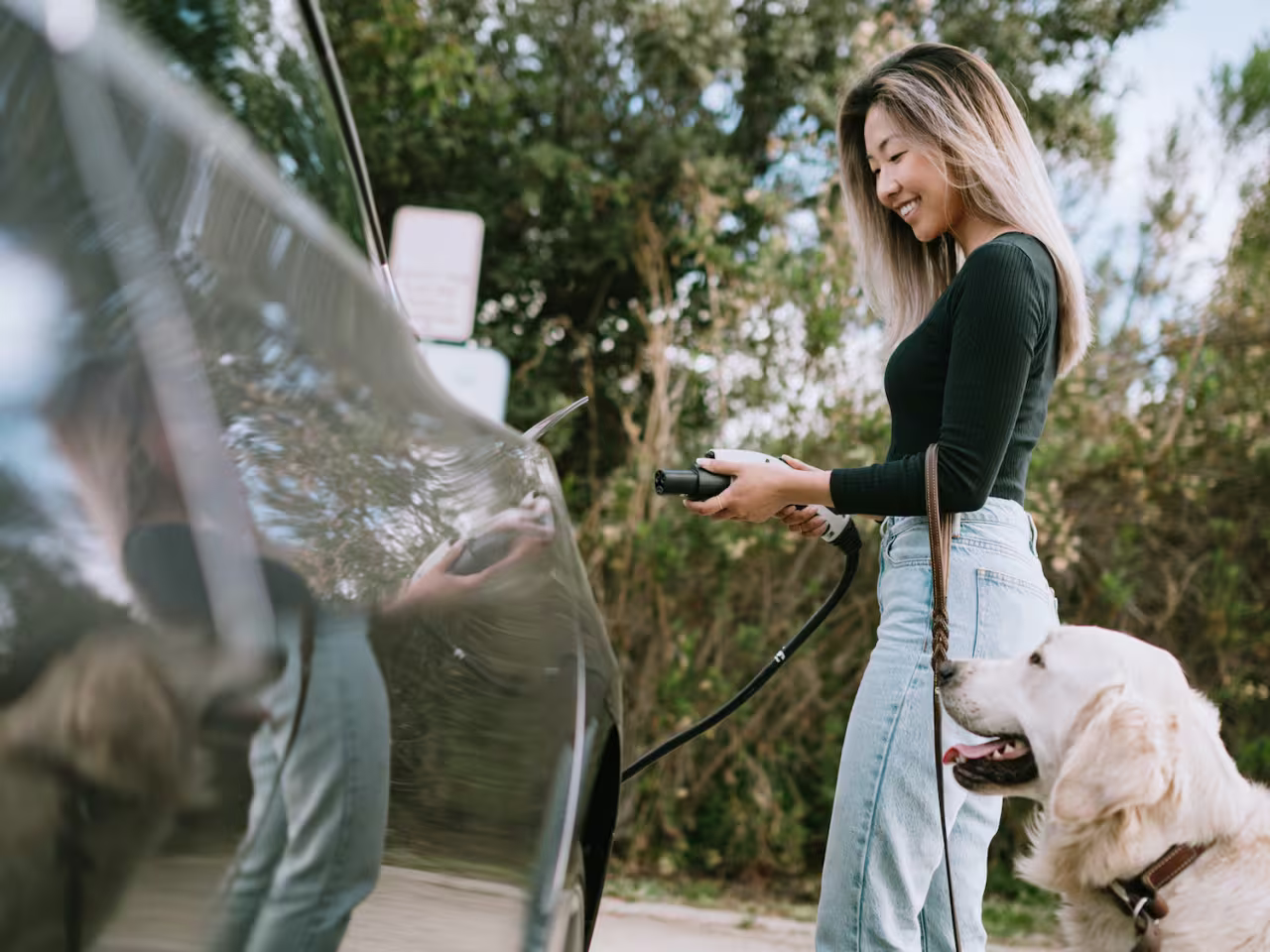 Video Tutorials Explaining How Hybrid Cars Work in NZ Conditions