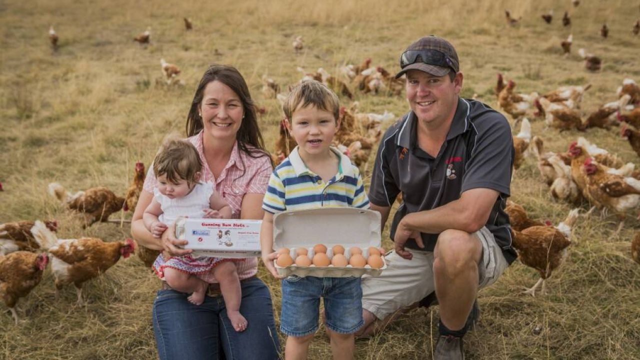 How Regional Promotion Videos Showcase Authentic Aotearoa Experiences