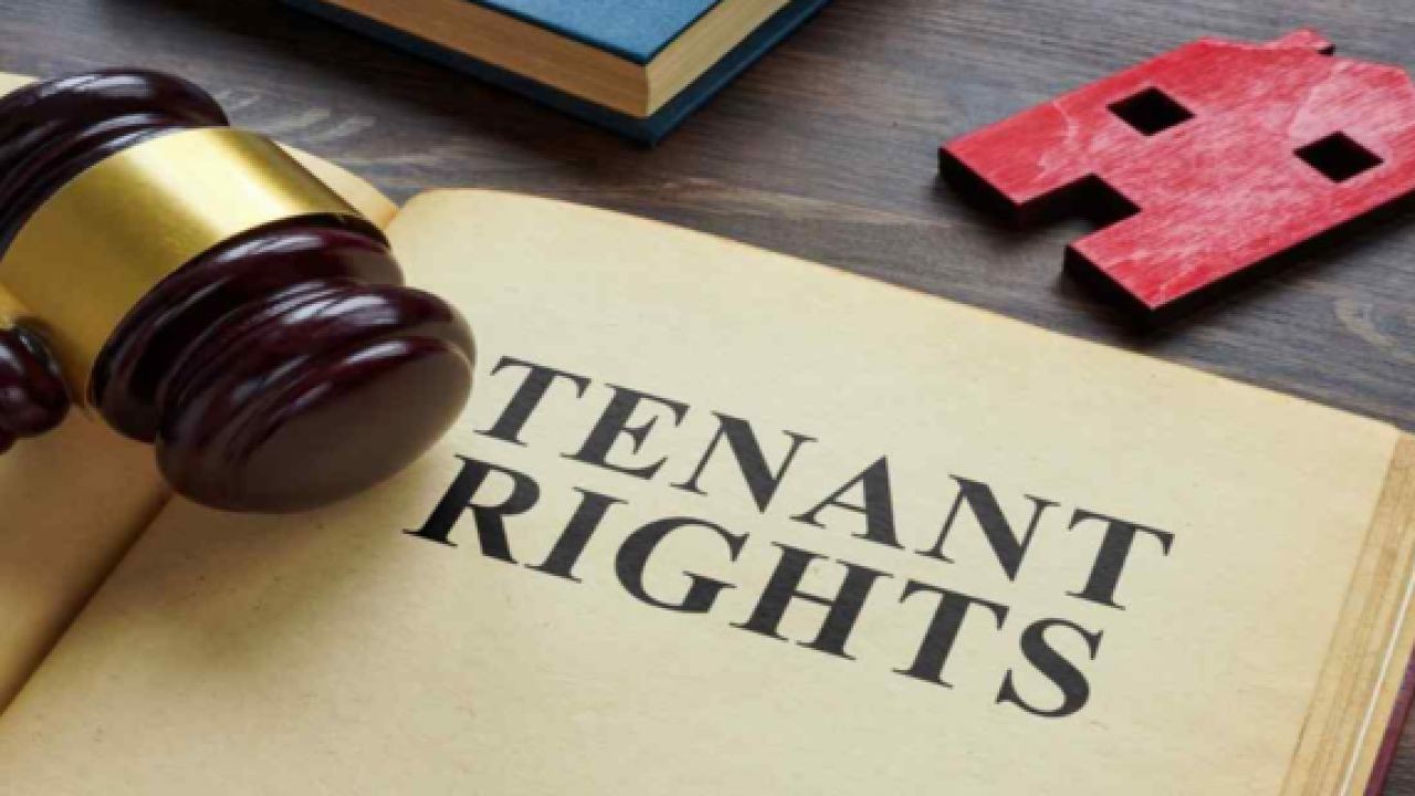 Why Tenant Rights Explainers in Video Form Are Growing in NZ