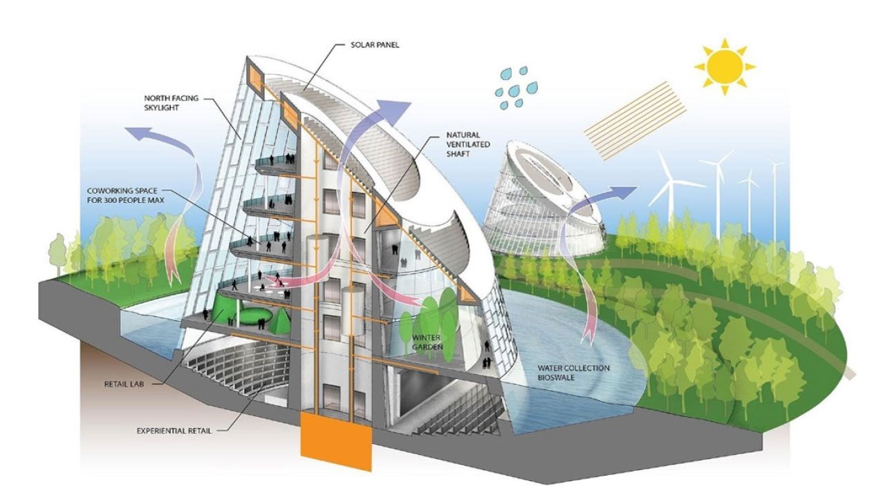 Why Sustainable Building Showcase Videos Win Buyers in New Zealand