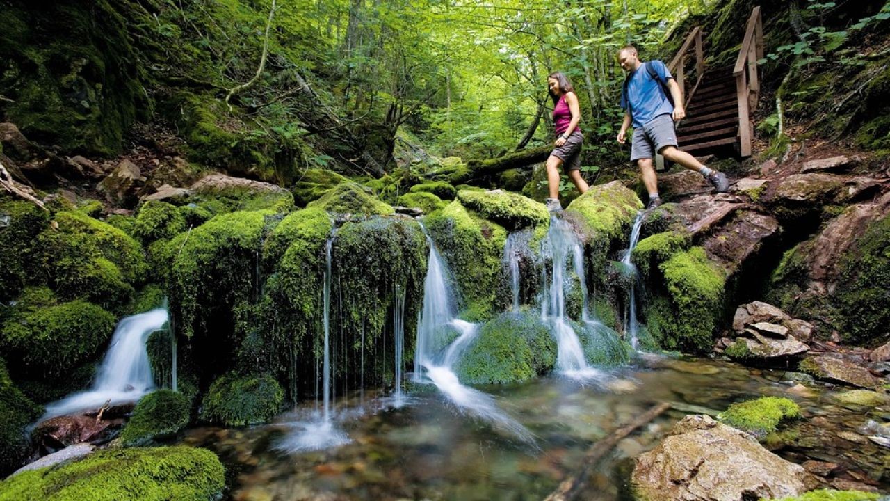 How New Zealand’s National Parks Are Addressing the Challenges of Overcrowding