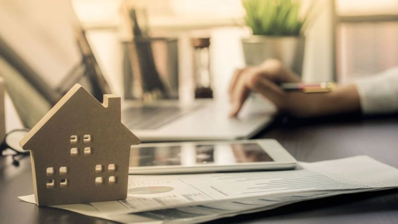 How Auction Countdown Videos Prepare Buyers for Bidding in NZ