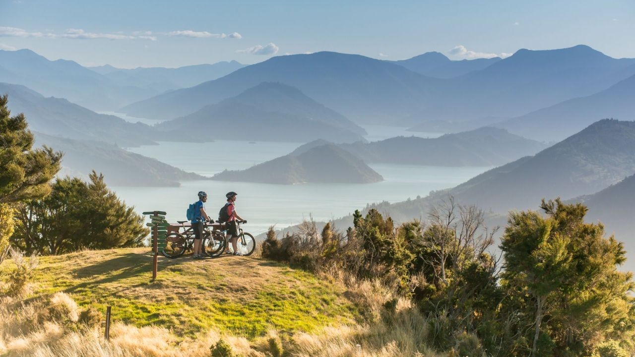 From Local Markets to Regional Tourism: Video Marketing That Showcases New Zealand