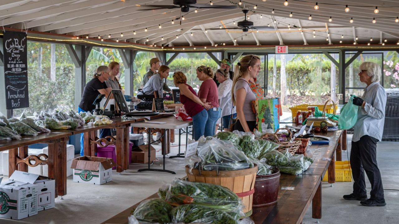 From Pasifika Festivals to Kai Markets: Showcasing NZ Food Culture Through Video