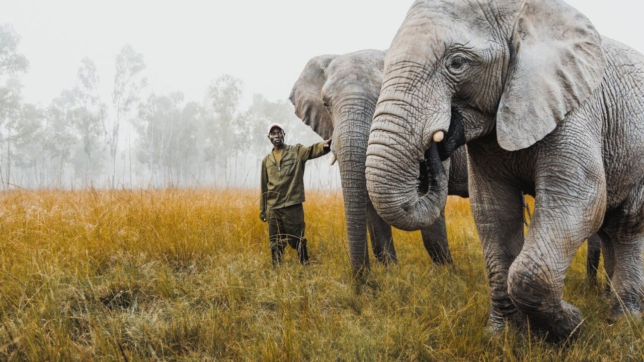 Why Wildlife Rescue and Conservation Videos Build Trust in NZ Tourism