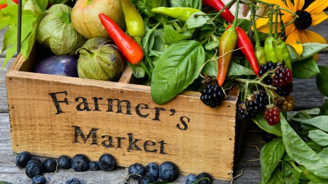 Supermarkets vs. Farmers’ Markets: Where Should Australians Buy Their Groceries? – What Investors in Australia Shouldn’t Ignore