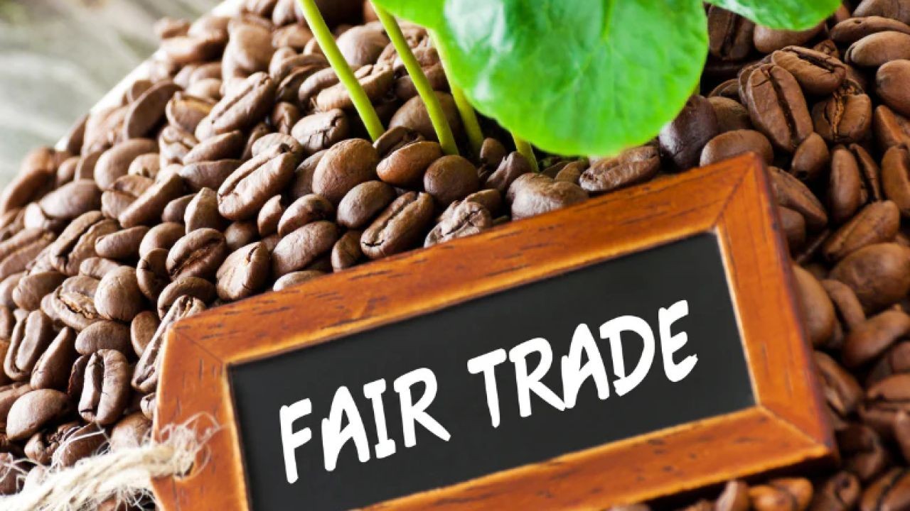 How to Find the Best Ethical & Fair-Trade Coffee in NZ – Expert Insights & Best Practices in NZ