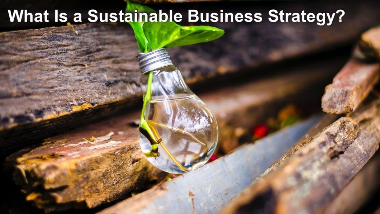 How to Participate in Sustainability Initiatives as a Business Owner – How to Avoid Costly Mistakes in NZ