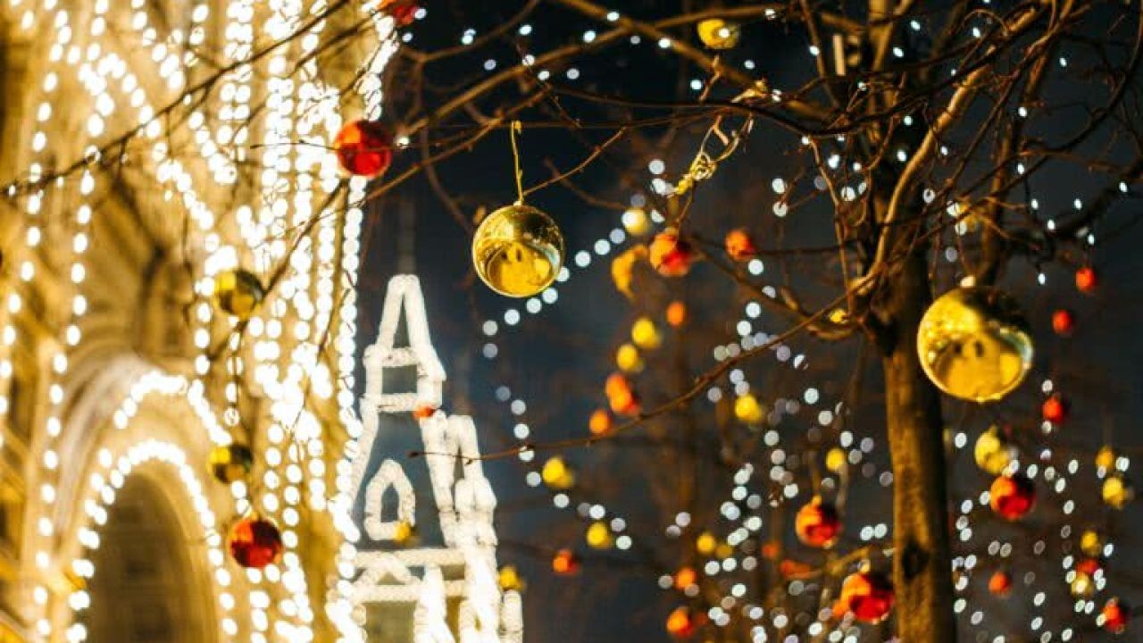 Why Seasonal Event Videos Highlight NZ’s Unique Travel Calendar