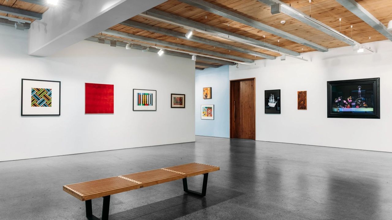 How Local Art Galleries Use New Zealand Video Platform to Showcase Exhibitions